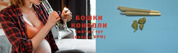 винт Горно-Алтайск