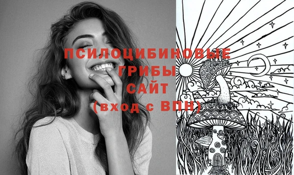 МДМА Горняк