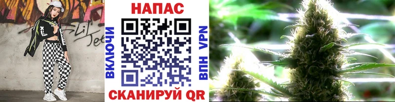 Бошки марихуана сатива  где купить наркотик  МЕГА рабочий сайт  Заринск 